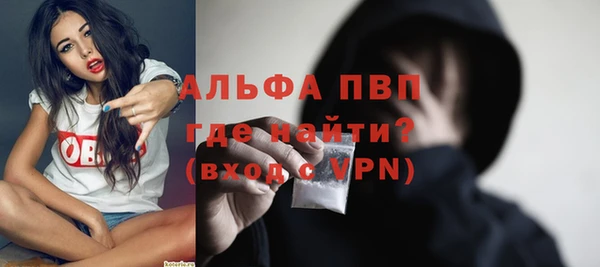 стафф Нефтекумск