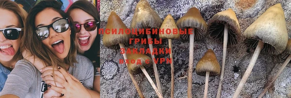 бутират Новозыбков
