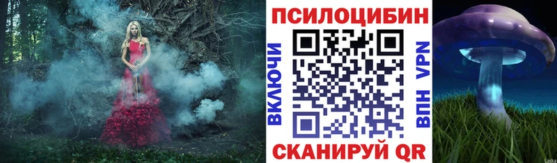 Псилоцибиновые грибы Cubensis  мориарти формула  Нижнеудинск  где найти наркотики 