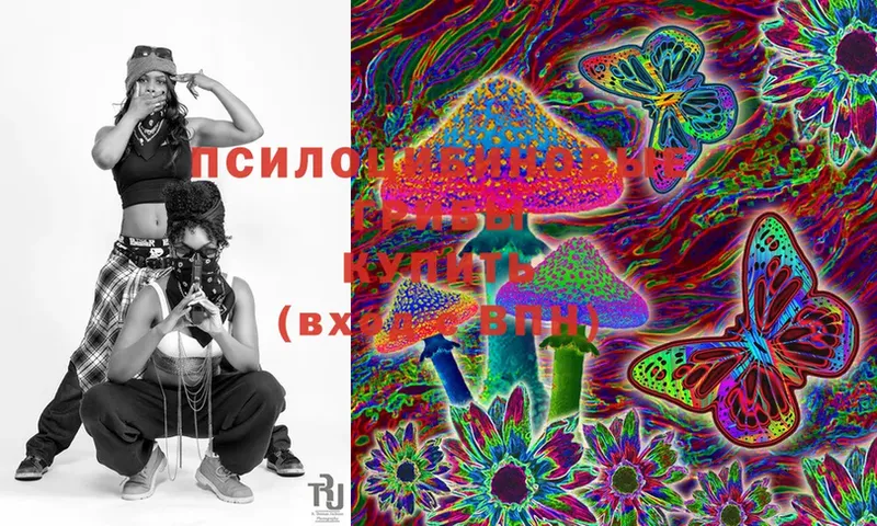 Галлюциногенные грибы MAGIC MUSHROOMS  OMG рабочий сайт  Нижнеудинск 