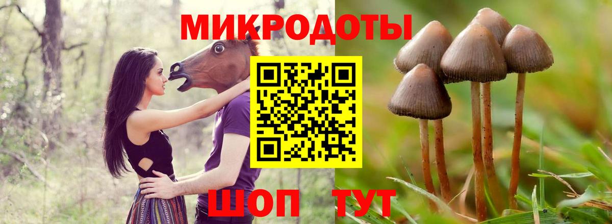 Псилоцибиновые грибы мицелий Нижнеудинск