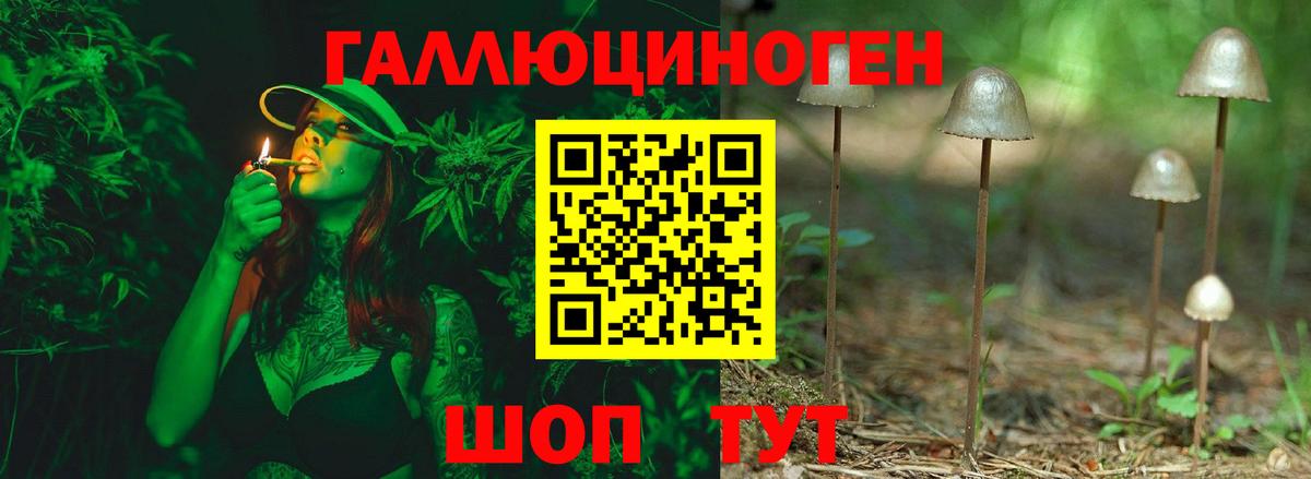наркота  Галлюциногенные грибы Psilocybine cubensis  Псилоцибиновые грибы мухоморы  Вход с VPN  Нижнеудинск 